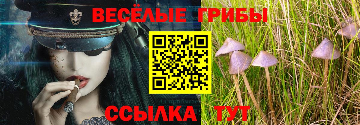 Малоярославец  Галлюциногенные грибы мицелий  Галлюциногенные грибы Psilocybine cubensis  Вход с VPN 